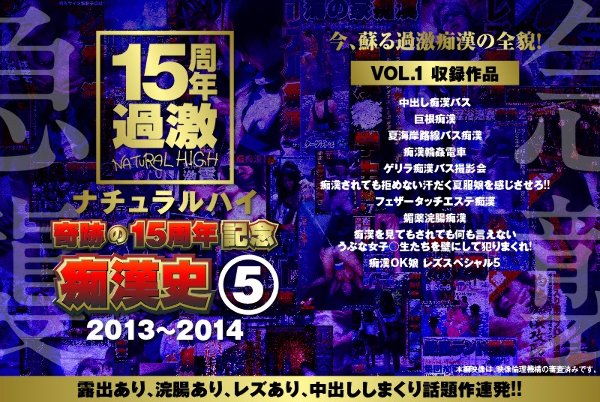 ナチュラルハイ奇跡の15周年記念 痴漢史（5）2013-2014 VOL.1