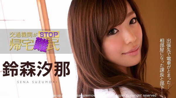 交通機関がSTOP！帰宅難民！ 〜美人OLが上司の愛撫を受け入れる〜